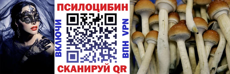 купить закладку  Курганинск  Галлюциногенные грибы Psilocybe 