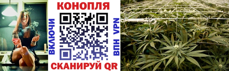 Каннабис марихуана  omg маркетплейс  Курганинск 
